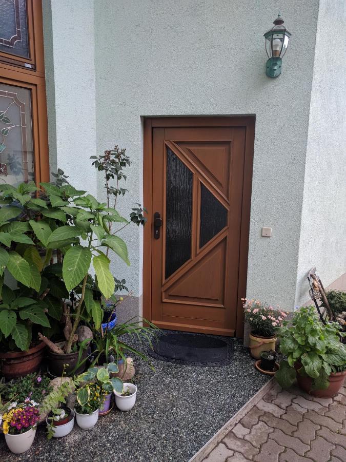 Ferienhaus Johanna & Ferienwohnung Thum Weischlitz ภายนอก รูปภาพ