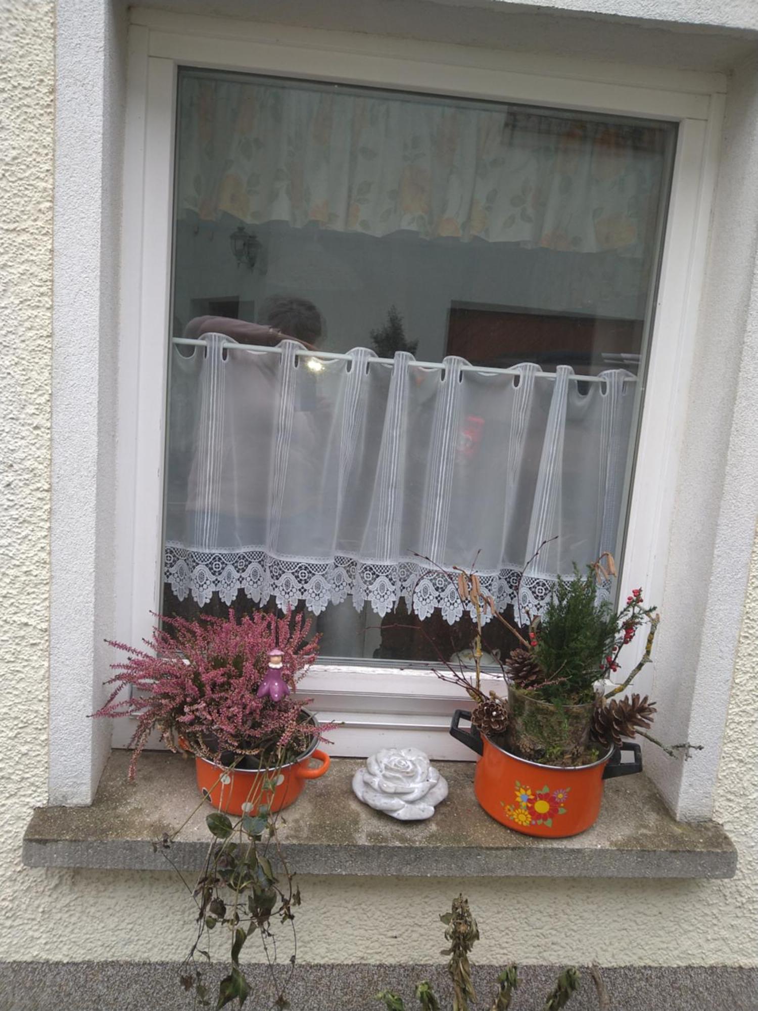 Ferienhaus Johanna & Ferienwohnung Thum Weischlitz ห้อง รูปภาพ